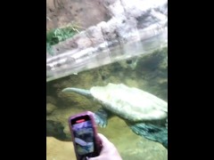 Zoo Day ☺️ - Screenshot 15 of 16 - Public Exhibitionist