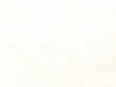 Peta Jensen EDIT #1 13/16