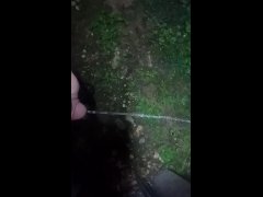 Pissing backyard