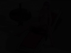 Dead or Alive Xtreme Venus Vacation Leifang Gravure Panels Nude Mod Fanservice Appreciation