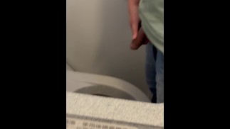 Pissing in the Plane Toilet