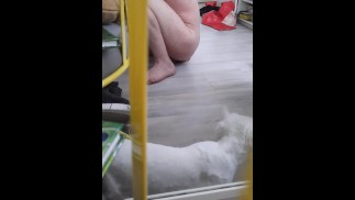 双假阳具骑行