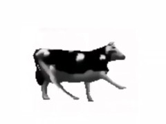 Vaca Bailando (checkpoint)