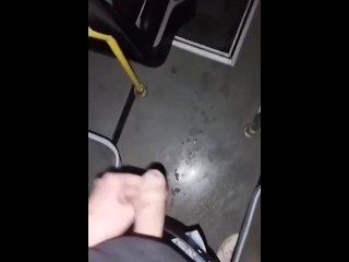 Wlenie Konia w Autobusie