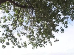 Me garcho a pendeja Argentina y le acabo dentro Creampie