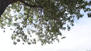 Me garcho a pendeja Argentina y le acabo dentro Creampie