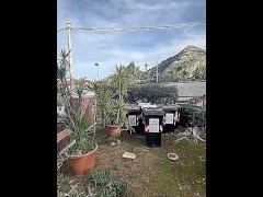 Diavolo Elettriko indovina dove mi trovo!
