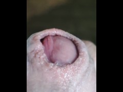 Close-up demonstration of penis and wet head from excitement