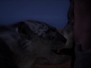 Preview 2 of Furry domination (extra wild at night version)