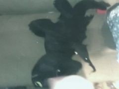 Toothless dragon(2) - Screenshot 14 of 16 - Plush