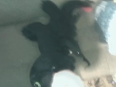 Toothless dragon(2) - Screenshot 15 of 16 - Dragpn