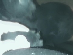 Toothless dragon(2) - Screenshot 9 of 16 - Dragpn