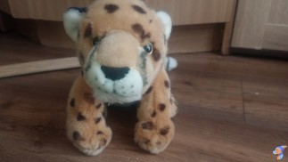 Yellow leopord