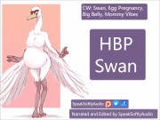 Preview 1 of HBP- You Meet A Big Round Mama Swan MILF And Rub Her Pregnant Belly F/A