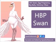 Preview 3 of HBP- You Meet A Big Round Mama Swan MILF And Rub Her Pregnant Belly F/A