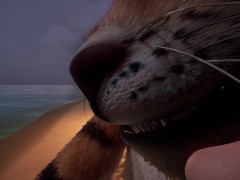 Moon for love | Furry | Wild life | POV