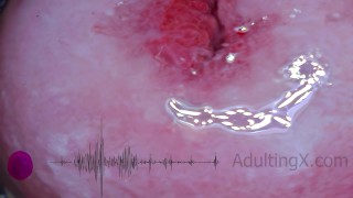 Пульс шейки матки, сердцебиение, оргазмы, ЭКГ - Sophie Adulting
