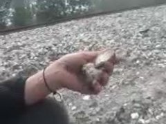 bradley junction trackspt2/ mollys confections