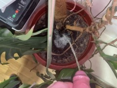 Run a long way to the toilet, pissed in the office plant, and at the same time watered the POV 4K