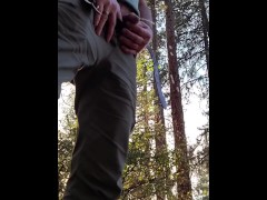 Passing in the woods