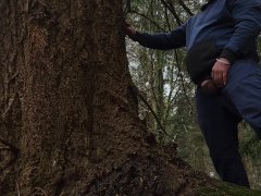 Pissing on a tree