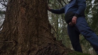 木の上で放尿