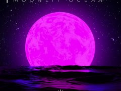 Moonlit Ocean (Emotion Therapy)