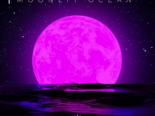 Moonlit Ocean (emotietherapie)
