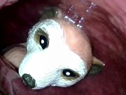 Preview 1 of Meerkat toy sinking deep into my descending colon