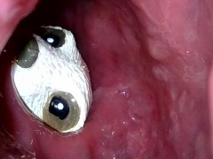 Meerkat toy getting sucked into my descending