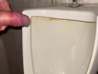 Pissing my Beautiful Cock with Big Balls in a Public Office Toilet