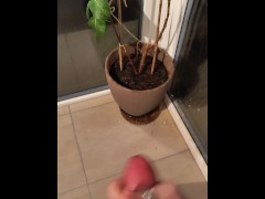 I piss on my plant and everywhere