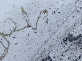 Amateur Brian Orinar En Público Meando Deletreando Su Nombre En La Nieve