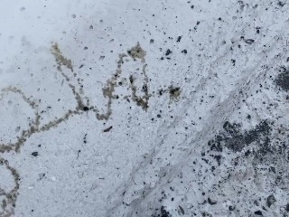 Amateur Twink Brian Openbare Plassen Spelling Naam in Snow