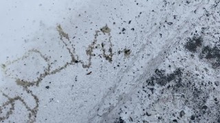 Amateur Twink Brian Public Urination Spelling Name in Snow