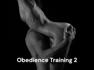 Treinamento De Obediência 2