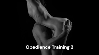 Treinamento de obediência 2