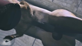 Horse fuck dog