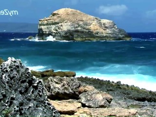 在荒岛上与华丽的金发女郎进行硬性爱