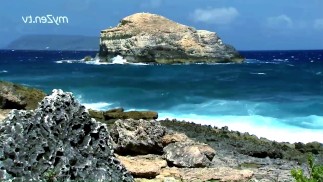 在荒岛上与华丽的金发女郎进行硬性爱