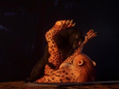 Camping | Furry | Wild life