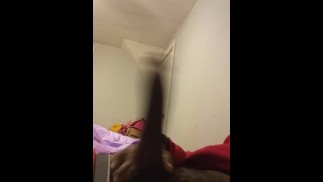 伯德霍恩2