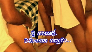 Sinhala Couple Best Fucking Romantic Couple