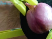 Preview 3 of Clamp on cock and balls POV