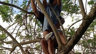 私は抵抗するために何もすることができませんでした、彼は木に登り、良いのために私をファックします