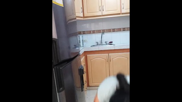 my neighbor fucked with a strapon in the kitchen