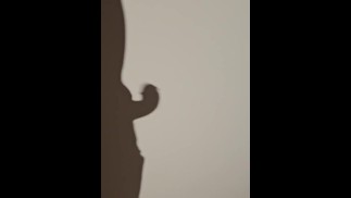 从软 2 硬