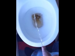 Pees into toilet