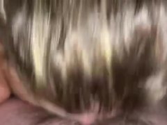 Hotwife Sucking Bull