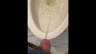 Pissing In The Toilet